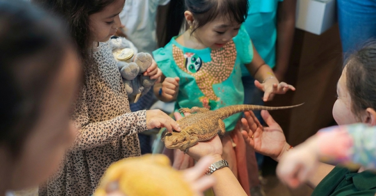The Green Planet Dubai Tickets – Indoor Rainforest Experience The Green Planet Dubai Tickets – Indoor Rainforest Experience