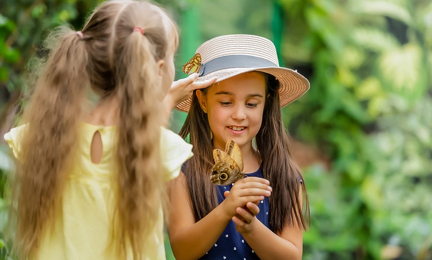 Image 8: Dubai Miracle Garden + Butterfly Garden Combo Tickets (For 1, 2, or 4)