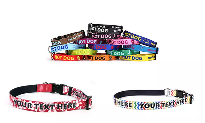 One Small, Medium, or Large Personalized Dog Collar from Hot Dog Collars (Up to 50% Off) - Primary Image