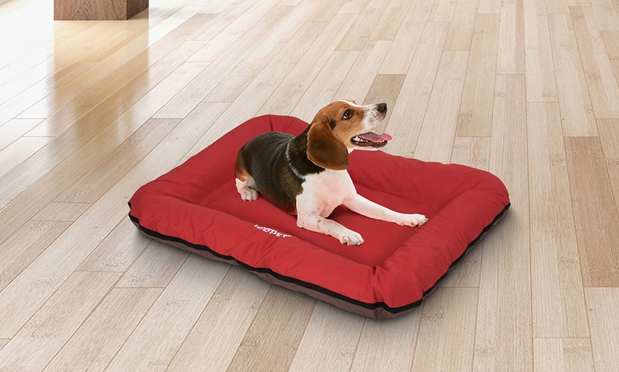 Image 16: Large Flat Dog Beds