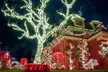 See NYC’s Brightest Holiday Lights – Dyker Heights Christmas Tour in Brooklyn, New York - Second Medium
