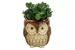 Character Planters - Image 2