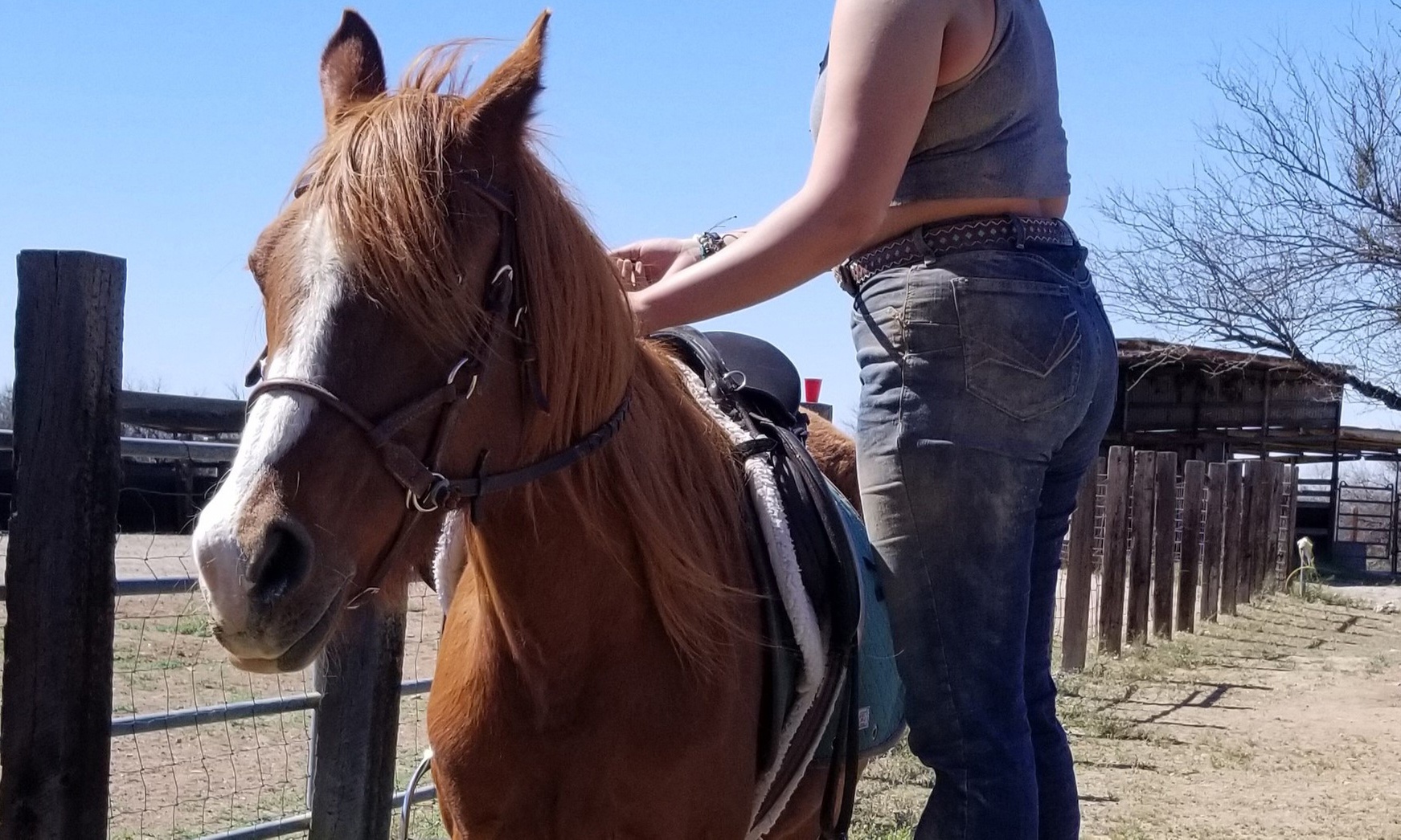 Ride on with One or Four Horseback Riding Lessons for One or Two
