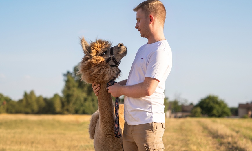 Image 1: Relaksujące spotkanie z alpakami dla 2 osób