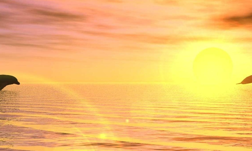Image 4: Sip, Sail, & Spot Dolphins: Morning, Sunset, & Sandbar Cruise for Up to 6 People w/ Siesta Dolphin Tours (Up to 50% Off)