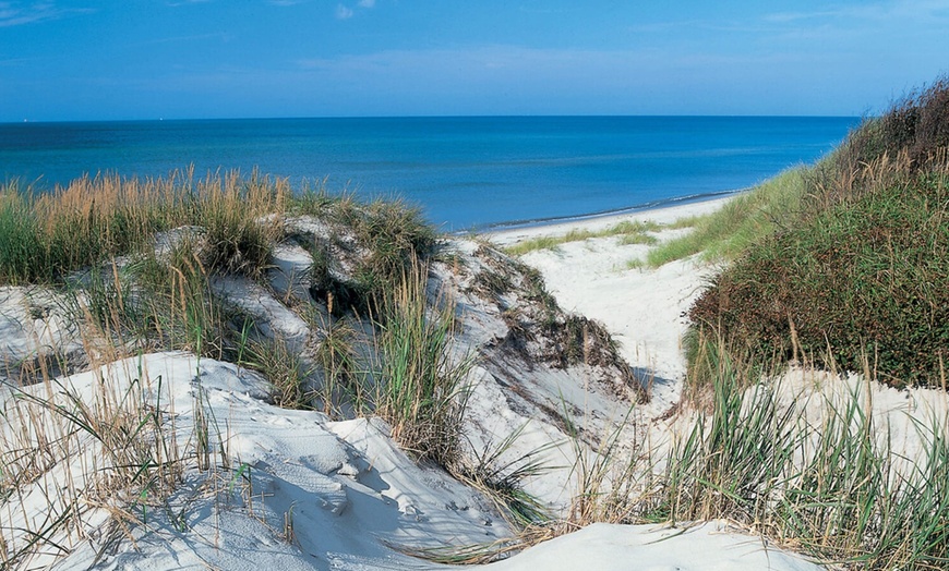 Image 11: Wellness auf Usedom: Hudewald oder Forsthaus Langenberg