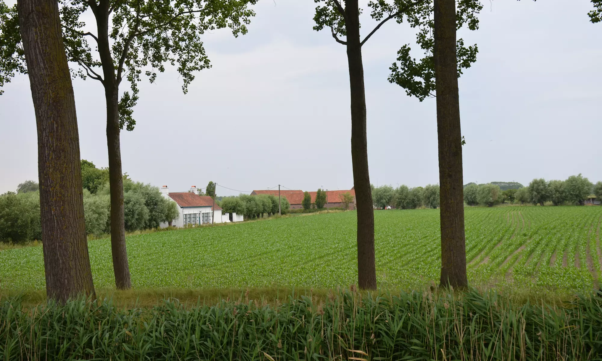 Ga mee op avontuur: retourticket voor boottocht vanuit Brugge of Damme