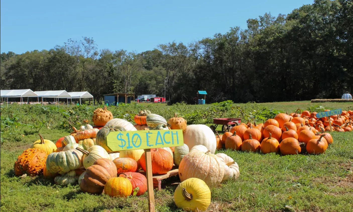 Farm Fun Awaits! Get Friday or Weekend Passes for 2, 3, or 4 People at Hidden Rivers Farm (Up To 22% Off) - Primary Image