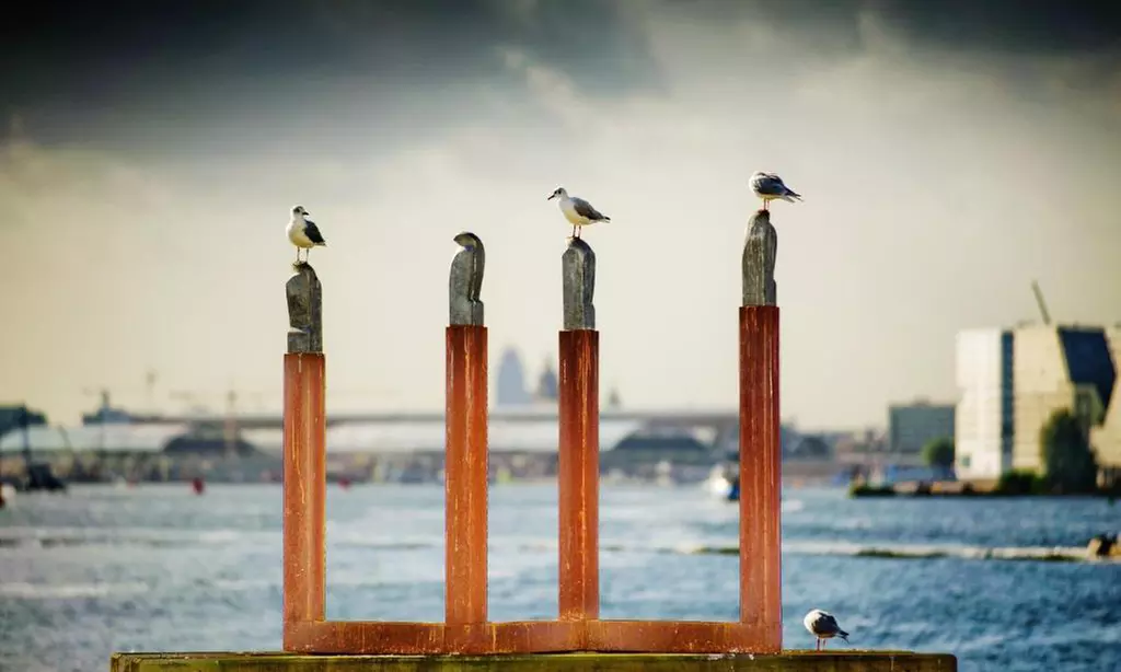 ✈  2 or 3 Nights Amsterdam P&O Cruise w/ Stay & Return Coach Transfers