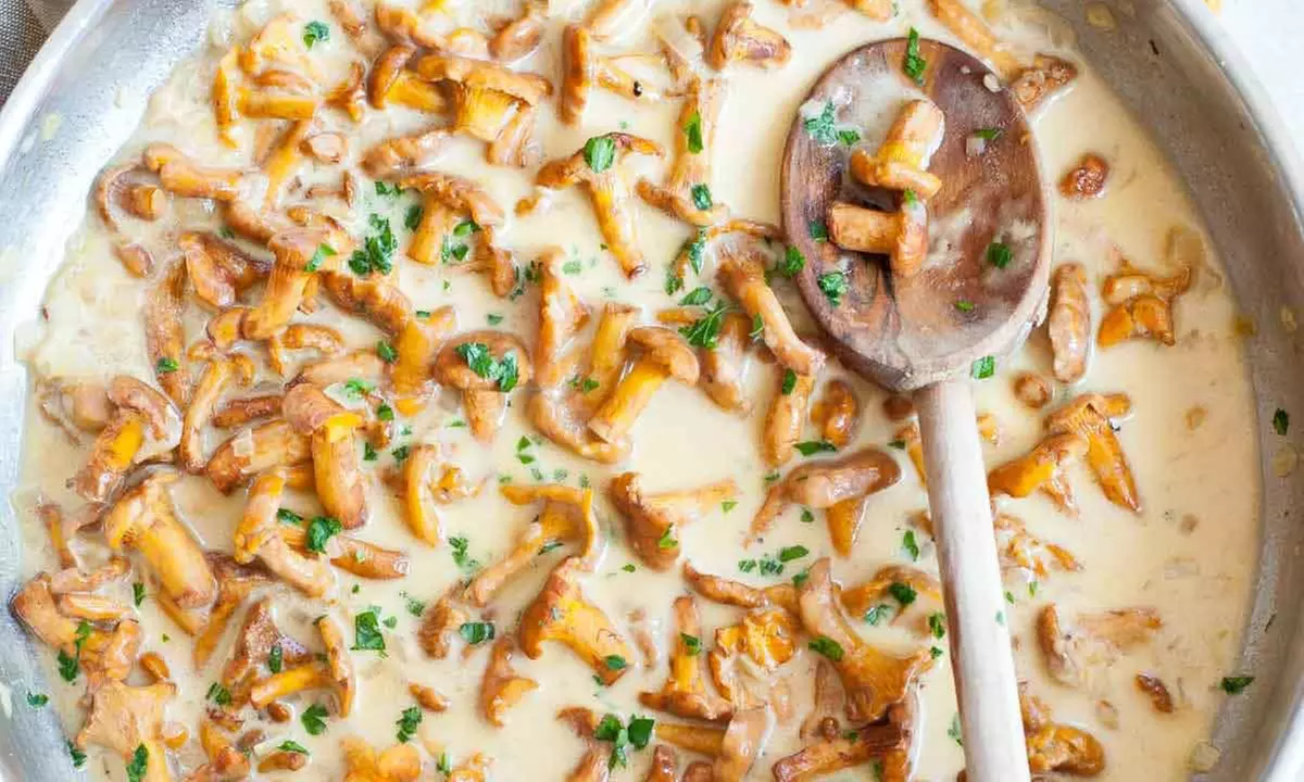 Schnitzelmenu naar keuze voor 1, 2 of 4 personen