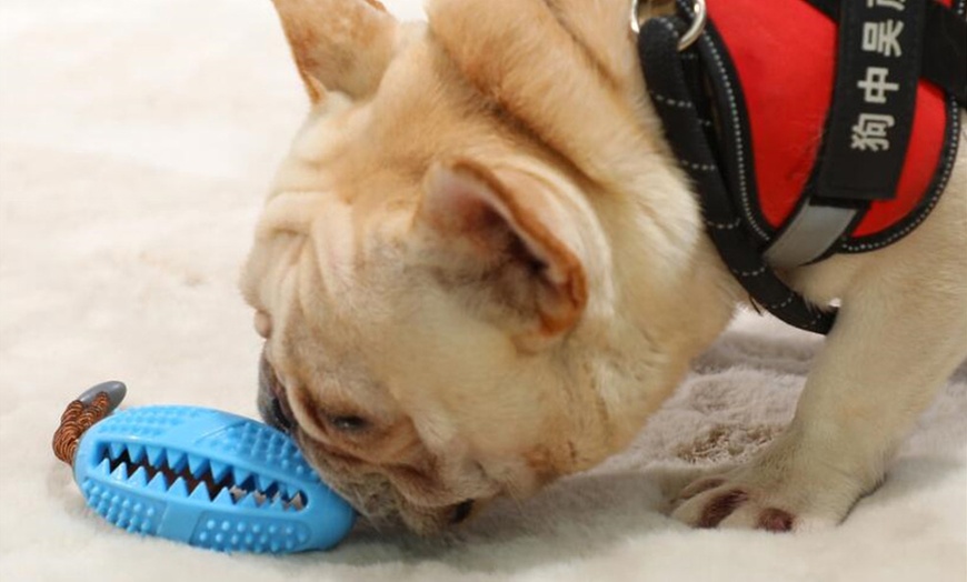 Image 1: Boule à mâcher pour chiens