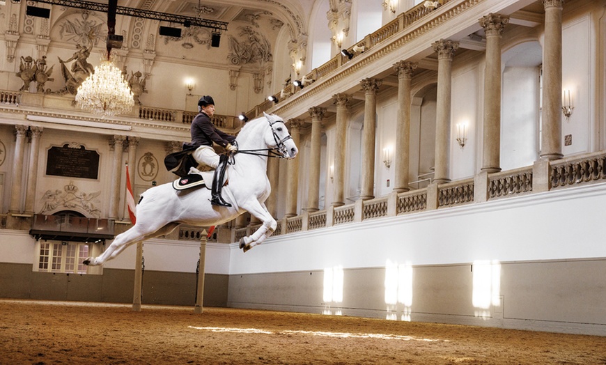 Image 7: Grab Your Tickets to the Most Majestic Horse Show in the UK