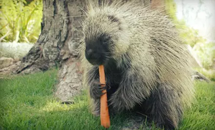 Zoo Outing for Two or Four to Wildlife Learning Center (Up to Half Off) - Primary Image
