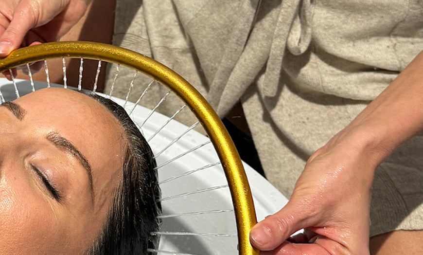 Image 2: Scalp Care &  Skin in the Heart of Oakland Park: Exfoliation and Detox