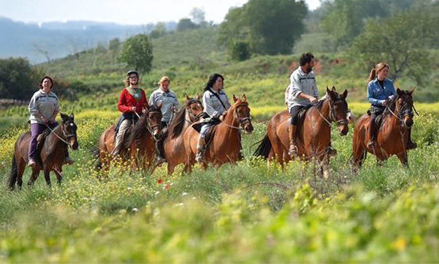 Image 5: Clases de iniciación a la equitación con casco, para niños y adultos