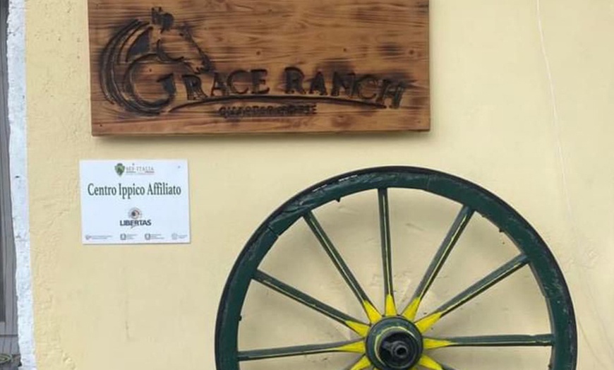 Image 8: Lezioni di equitazione per adulti o bambini da Grace Ranch