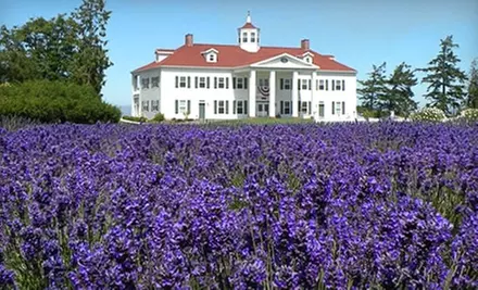 Ferry Ride and Admission to Sequim Lavender Farm Faire. Three Dates Available. - Primary Image