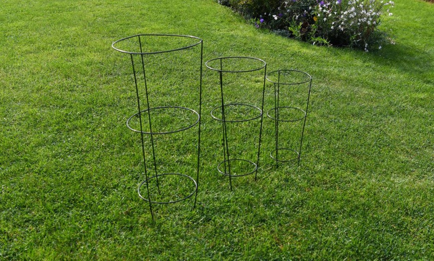 Image 9: Decorative Garden Trellis Plant Support Collections