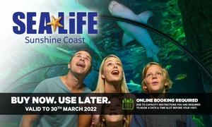 SEA LIFE Sunshine Coast Entry