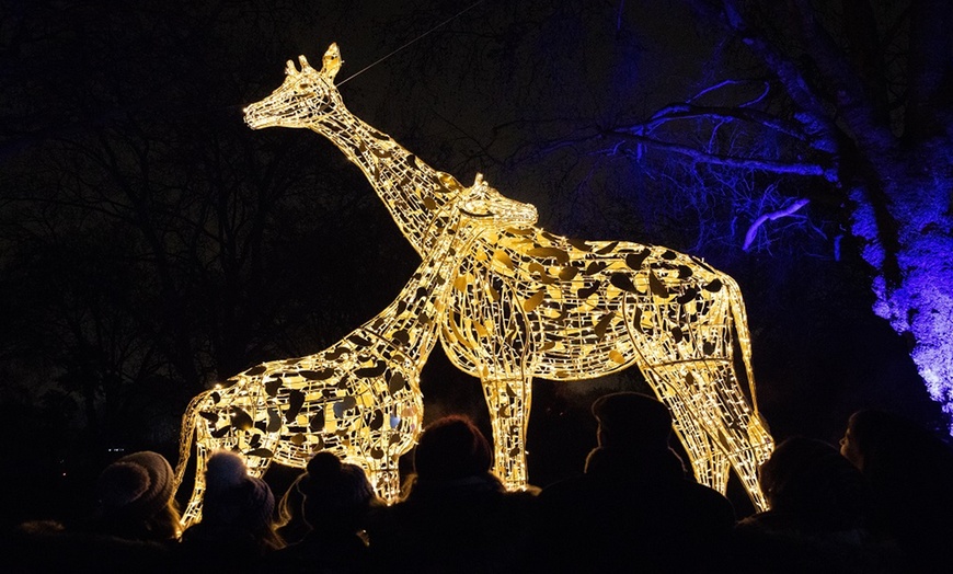 Image 4: Christmas at London Zoo