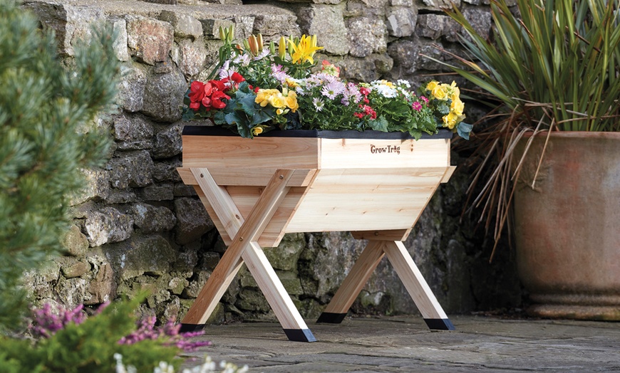 Image 3: Wooden Grow Trug