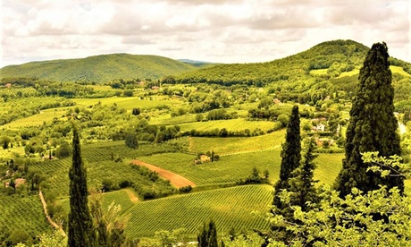 Arezzo: 1 o 2 notti in Junior Suite Deluxe con mezza pensione, visita + degustazione in cantina per 2 a La Corte del Re