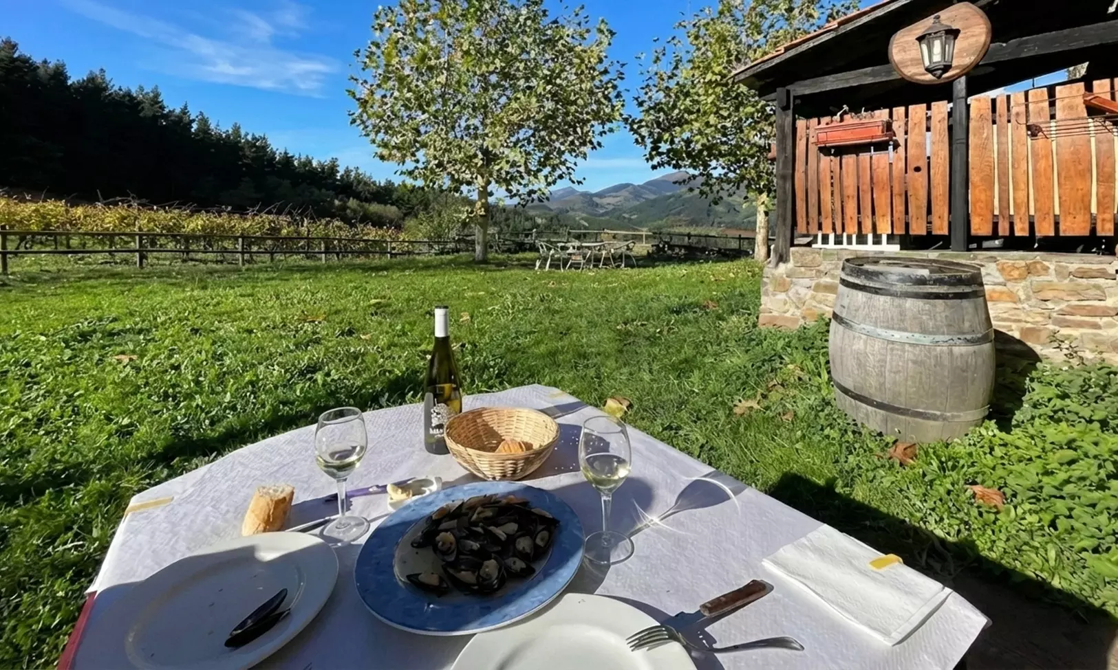 Cata de vino y aperitivo con visita a bodega para 2 o 4 en Llodio