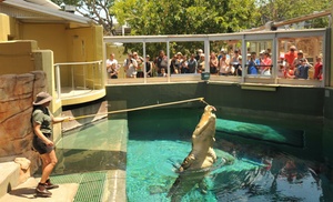 Darwin: VIP Tour and Crocodile Cove Entry 