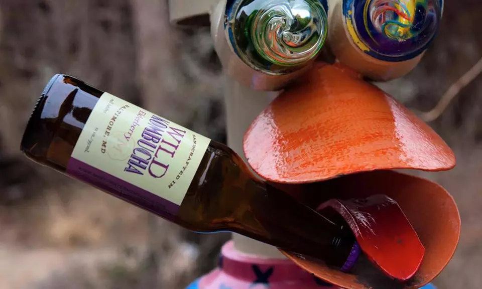 Mix-and-Match Wild Kombucha at Mobtown Fermentation (12 Fl. Oz.; 6-Pack)  - Second Medium