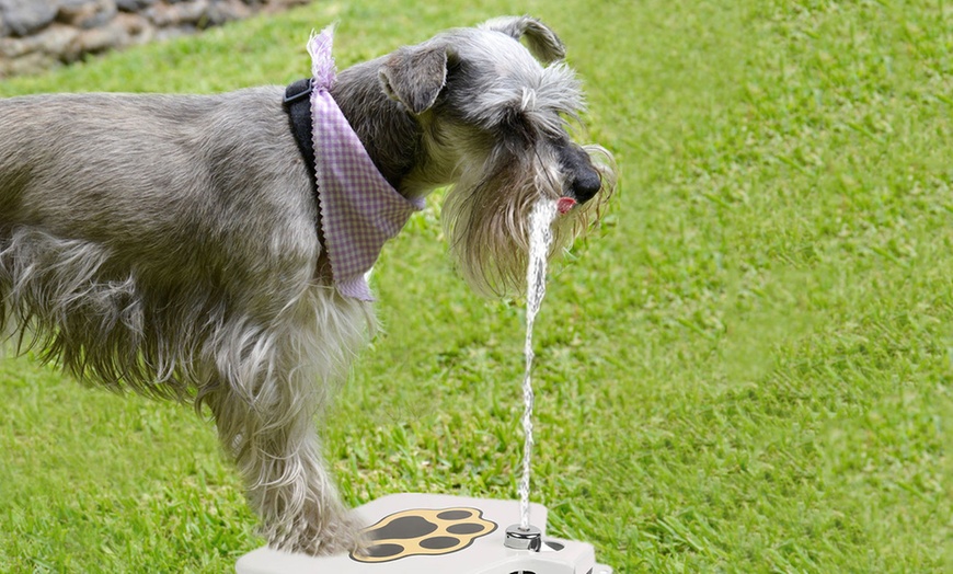 Image 1: Dog Water Fountain