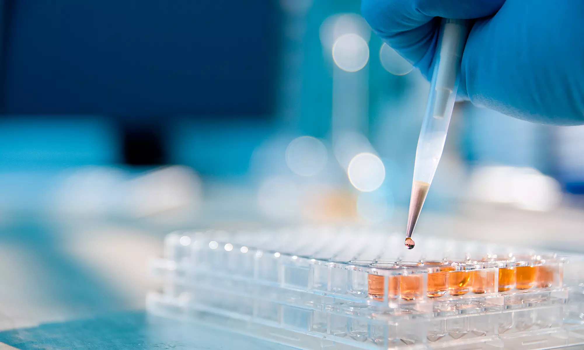 Hands-On One Session DOT Urine Drug Collection, Full BLS/First Aid/AED, Gender Reveal Class & More(Up to 59%Off) - Primary Image