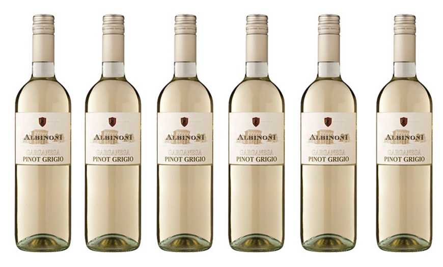 Image 1: Six Garganega Pinot Grigio Wines