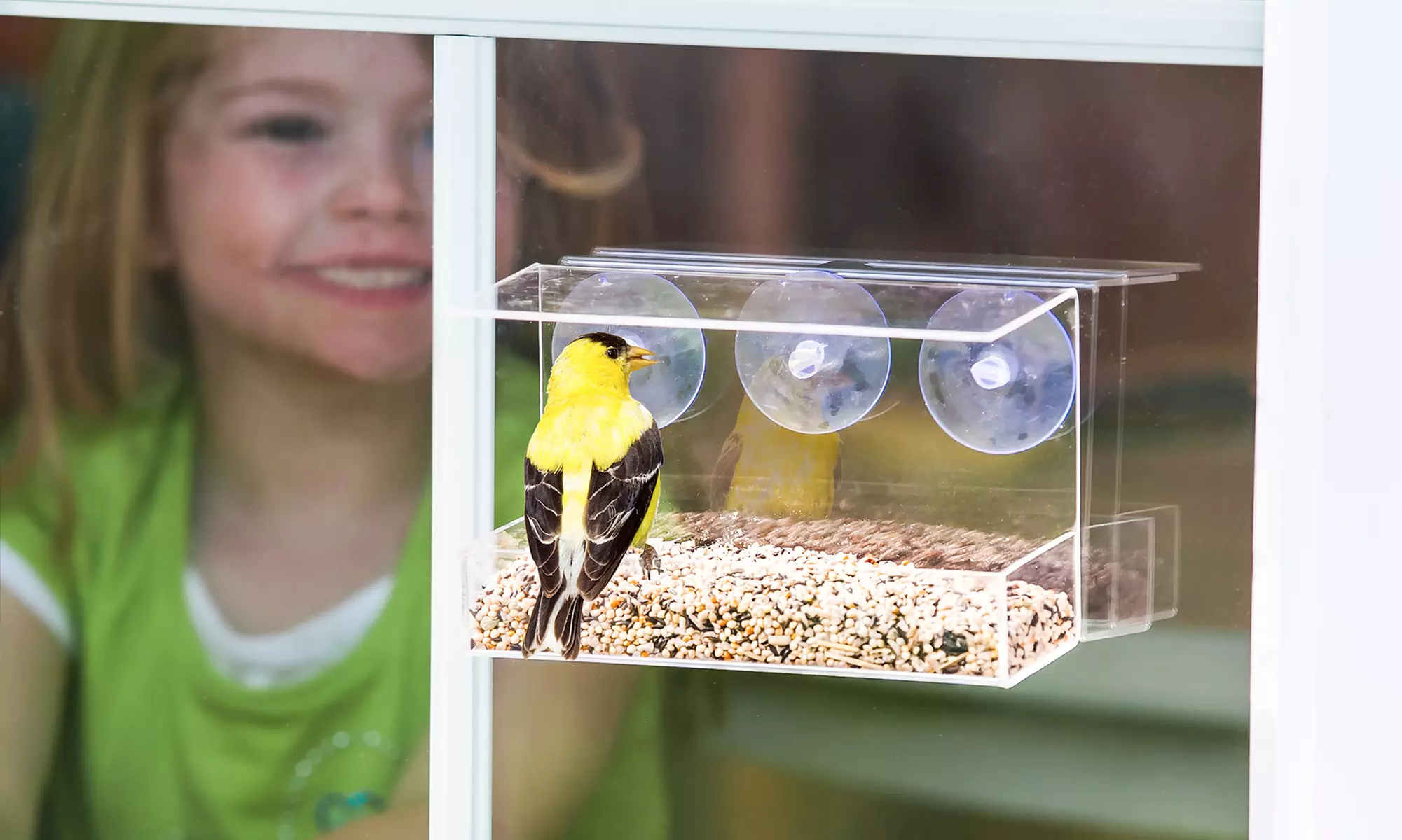 Window Bird Feeders in Patio and Cottage Styles - Primary Image