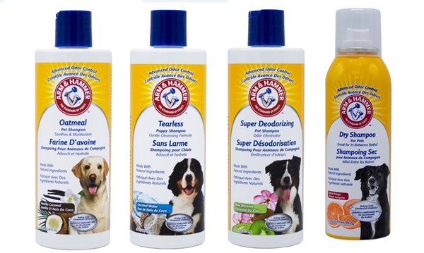 Arm and hammer store dry dog shampoo