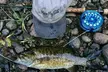 4- or 8-Hour Fishing Trip for One or Two Anglers at Maine Fly Guide (Up to 20% Off)  - Second Medium