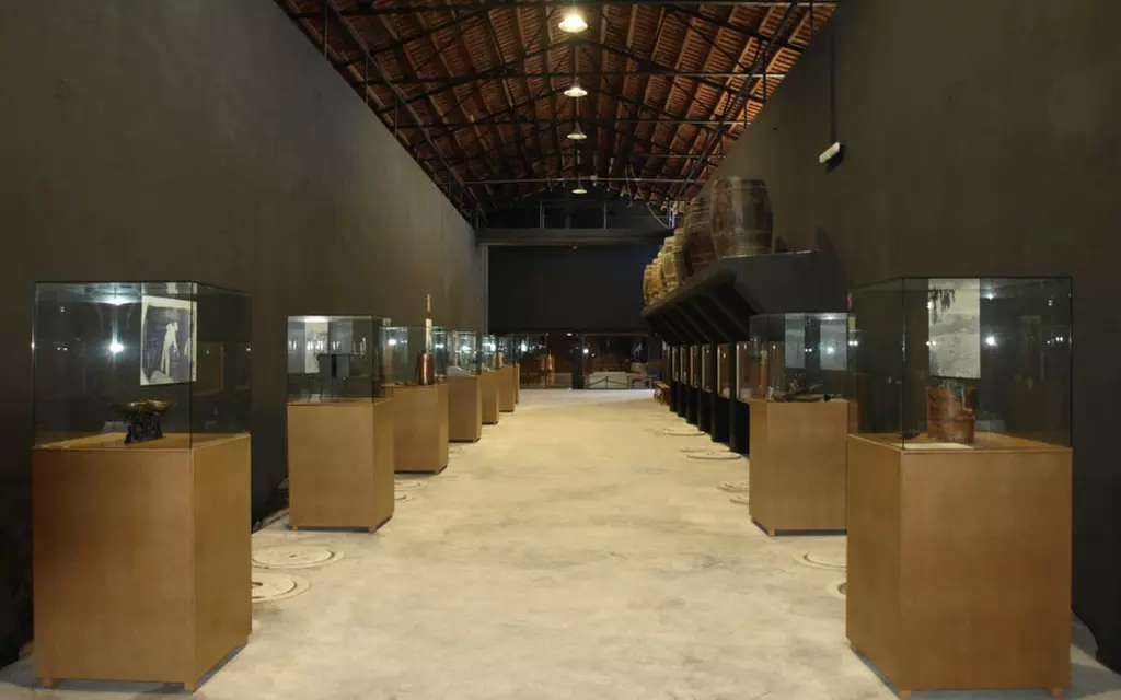 Visita a bodega más cata en Besalduch Valls And Bellmunt