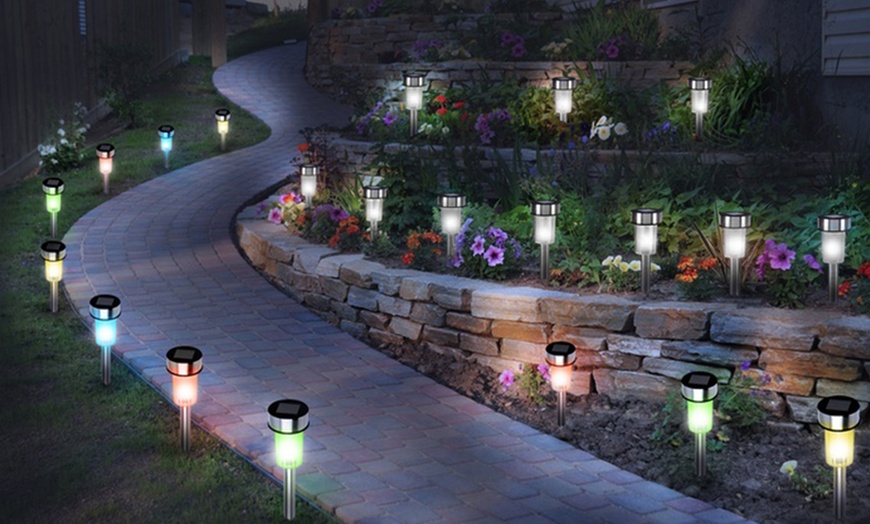 Image 1: Solar-Powered Garden Lights