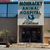 Image 2: 55% Off Comprehensive Pet Exam at Mohnacky Animal Hospital