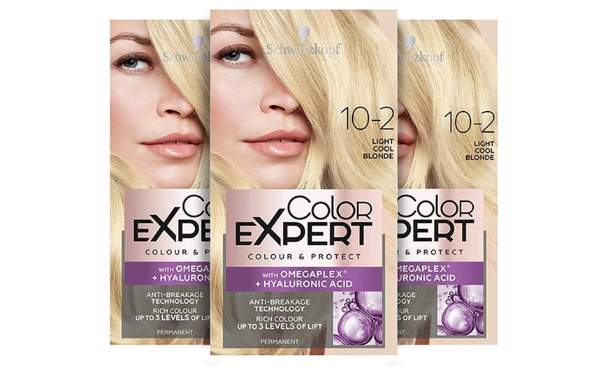 Image 41: Schwarzkopf Color Expert Hair Dye