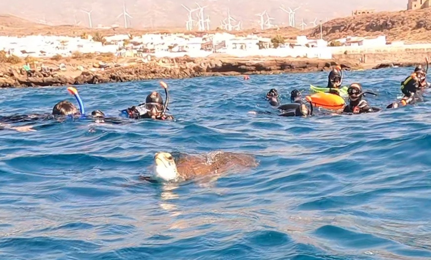 Image 10: Experiencia de snorkel con equipamiento y fotos para 1, 2 o 4 personas