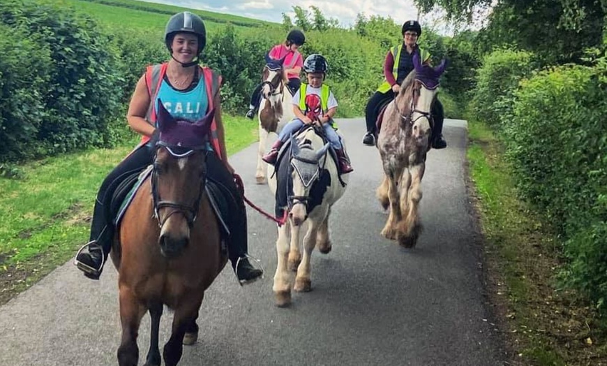 Image 21: Horse Riding and Trekking Lesson at SevernwyeEquestrian