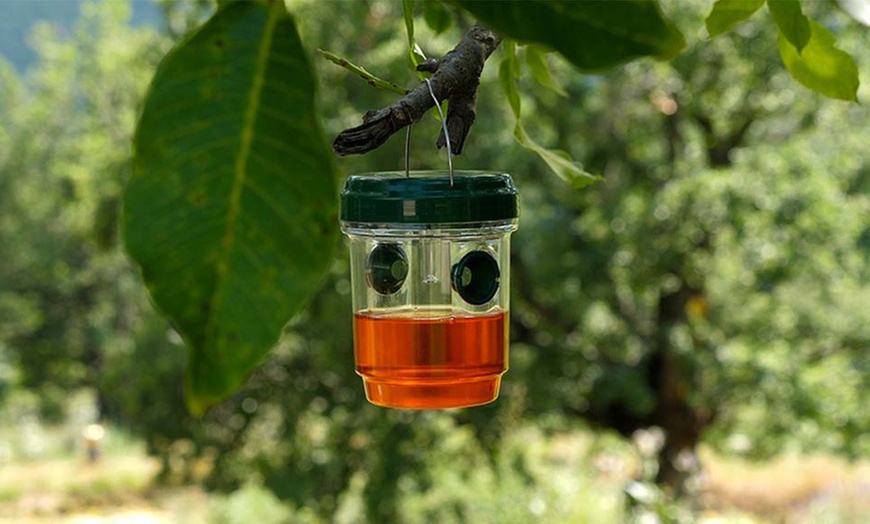 Image 1: Piège à insectes solaire pour moustiques et guêpes