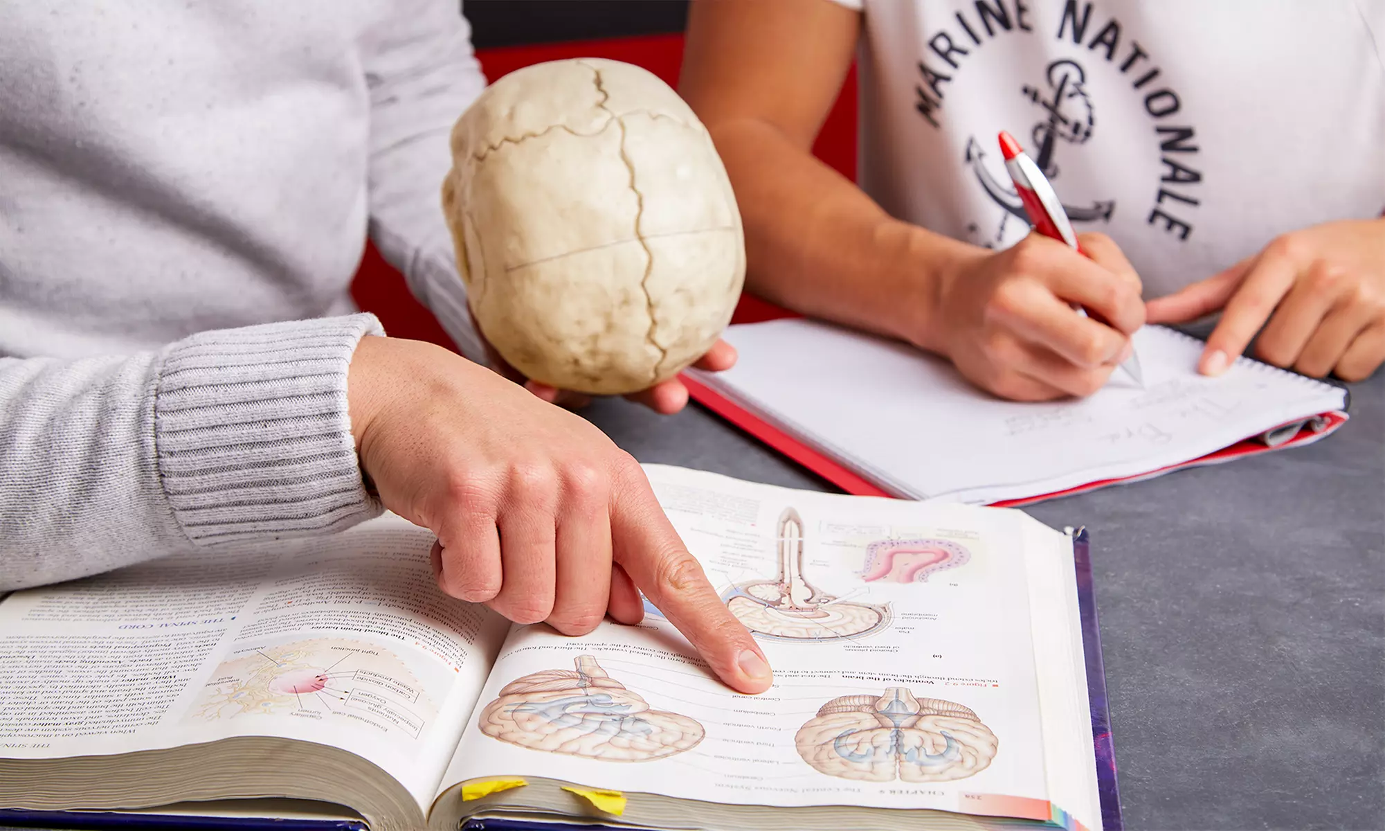 $11 for $25 Worth of Services — Euler's Academy - Primary Image
