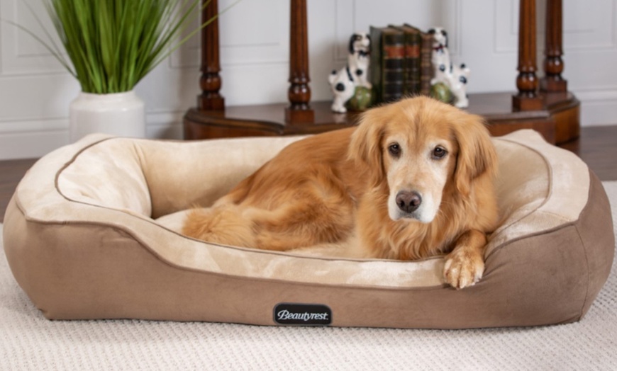 beautyrest ultra plush cuddler dog bed