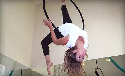 Three or Five Aerial-Skills Classes from Schulein Fit Enterprises at Anaheim CrossFit West (Up to 67% Off) - Primary Image