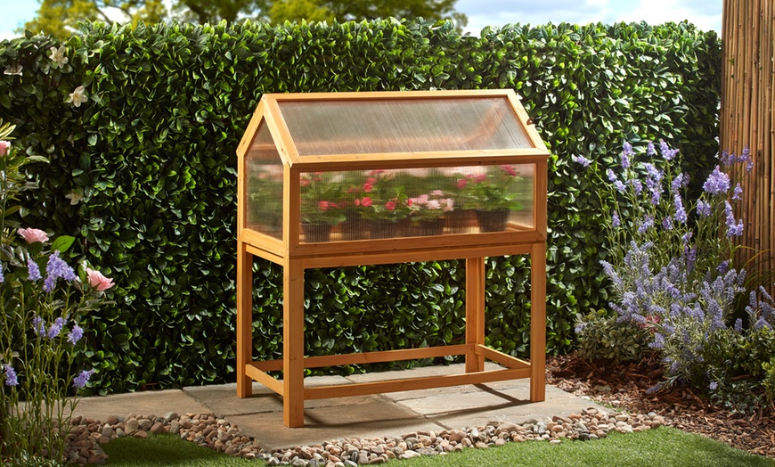 Image 1: Garden Grow Raised Wooden Cold Frame with Optional Legs