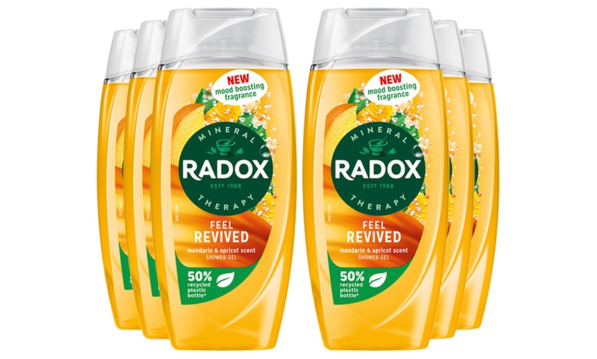 Image 25: Radox Mineral Therapy Shower Gel with Mood-Boosting Fragrance