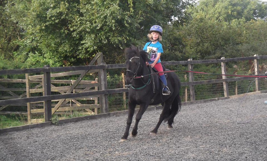 Image 2: Private Horse Riding Lesson