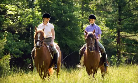 Horseback Trail Rides or Private Lessons for One, Two, or Four at Seaton Hackney Stables in Morristown - Primary Image