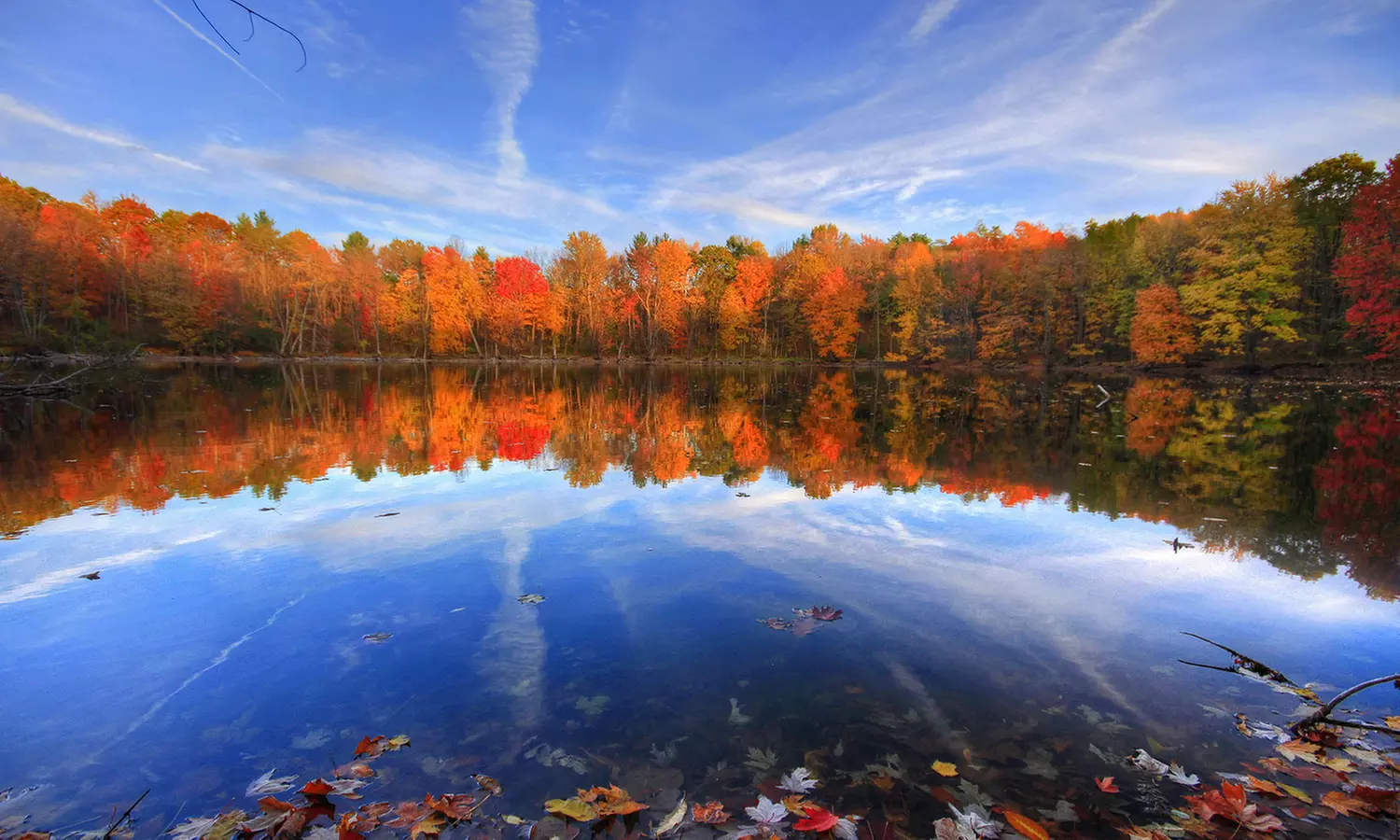 Stay at Best Western Plus White Bear Country Inn in White Bear Lake, MN. Dates into January. - Primary Image